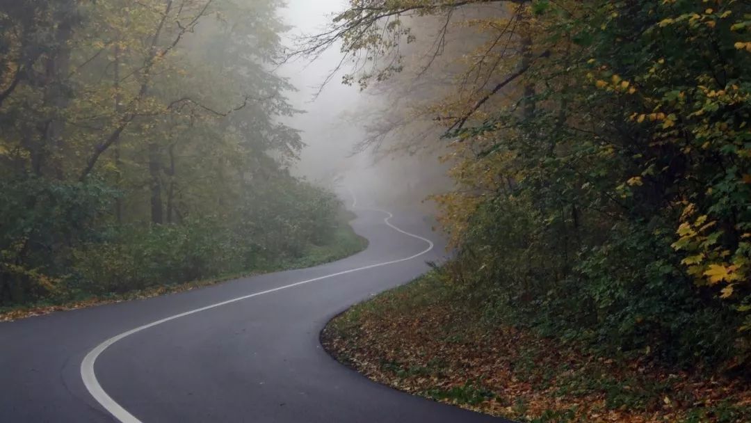 王陽(yáng)明：在心里種花，人生才不會(huì)荒蕪